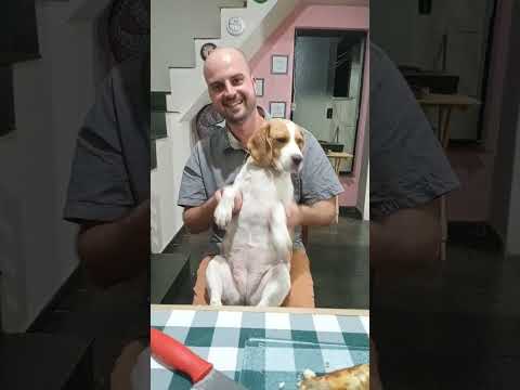 Khalissa Dançando 🐶