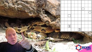 Dumb and Dumber ... or Hard and Harder?