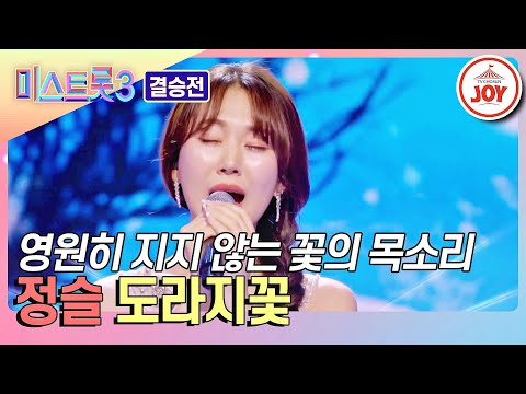 [미스트롯3 - 결승전]정슬의 인생곡 ’도라지꽃’♪(240307 방송)