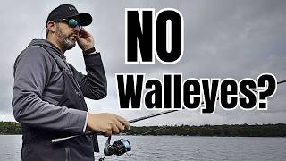 Don’t Get Skunked Again! 6 May Walleye Tips That Work!