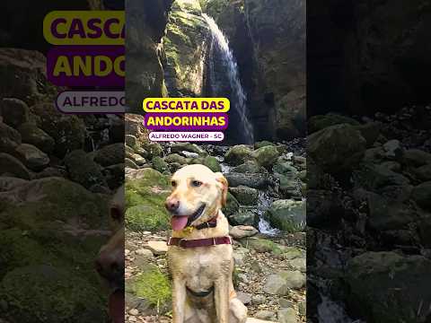 Cascata das Andorinhas em Soldados Sebold | Alfredo Wagner