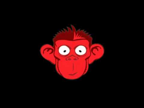 Bassmonkeys & J.D.Rox - Face - book girls.avi