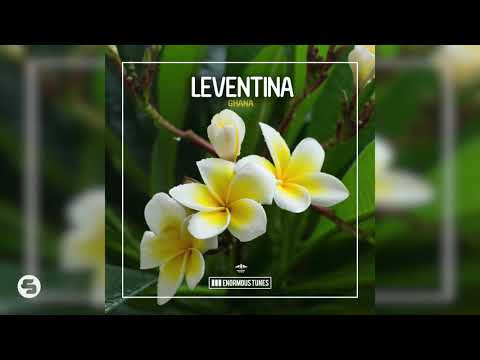 Leventina - Ghana