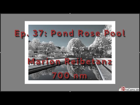 [EN] Ep. 37: Pond Rose Basin in Infrared - Colokey Image Processing with 700 nm Filter