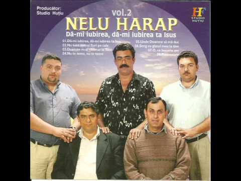 Nelu Harap - Da-mi iubirea , da-mi iubirea ta Isus