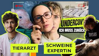 Tierarzt und Schweine-Expertin reagieren auf Enthüllungen von @TT_Team
