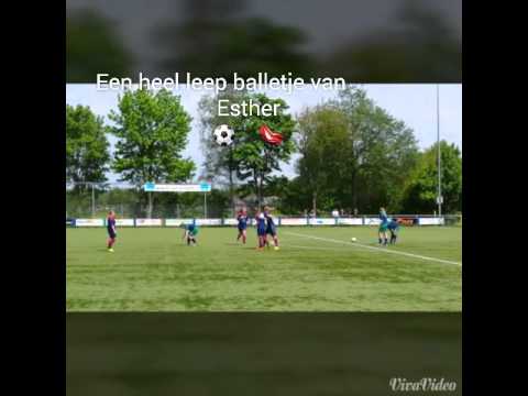 kampioenschap Dames Jvo 1 seizoen 2014-2015