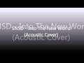 SNSD - Into The New World (Acoustic Cover ...