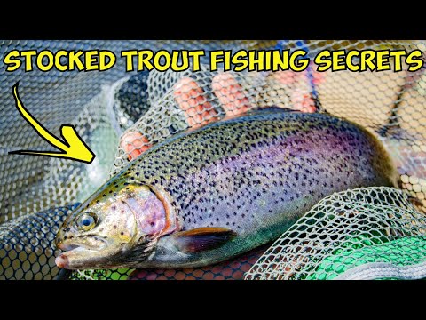 Top 10 Stocked Trout Fishing SECRETS