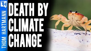 Climate Change Killed One Billion Marine Animals Last Week?