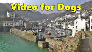Dog TV Calming Videos ~ Sounds and Scenes from Cornwall Edition ⭐ 8 HOURS Videos for Dogs ⭐