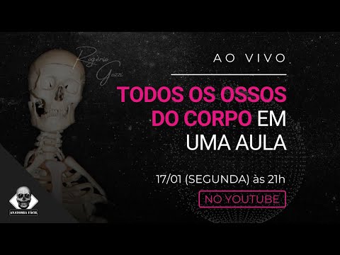 TODOS OS OSSOS DO CORPO EM UMA AULA