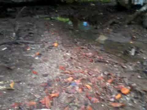 Enfant qui fait kaka à la plage