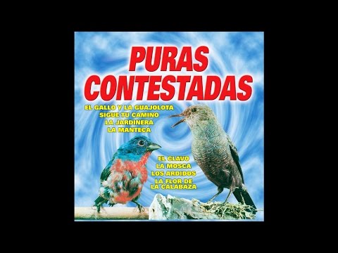 Halcones y Palomas - Donde Las Planten Brinco