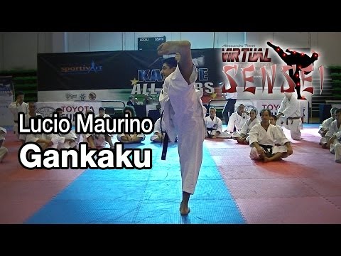 Lucio Maurino teaching Kata Gankaku - Karate All Stars 2013