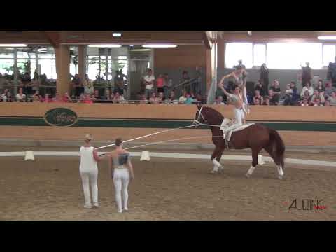 UVT Eligius (AUT), CVIO Ebreichsdorf 2019