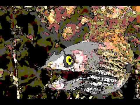 Frank Zappa, Apostrophe