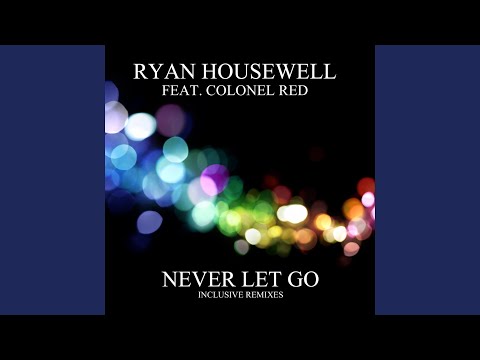 Never Let Go (De Vio Remix) (feat. Colonel Red)