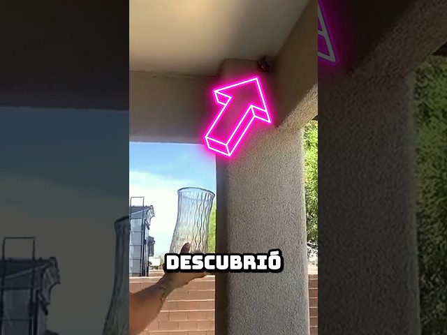 Vídeo relacionado con Nido de Avispas, 8 Piezas Nido de Avispas Señuelo, Colgar Nido de Avispas Falsas, Impermeable Trampa Avispas Exterior, Nidos de Avispas Artificiales, para Hogares y Jardines al Aire Libre