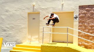 Vans Skate Classics | Pedro Delfino Skate Half Cab