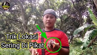Download lagu Cara Mikat Burung Di Lokasi Yang Sering Di Pikat Orang Lain mp3 Download lagu Cara Mikat Burung Di Lokasi Yang Sering Di Pikat Orang Lain mp3