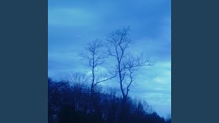 Too Deep for the Shallow