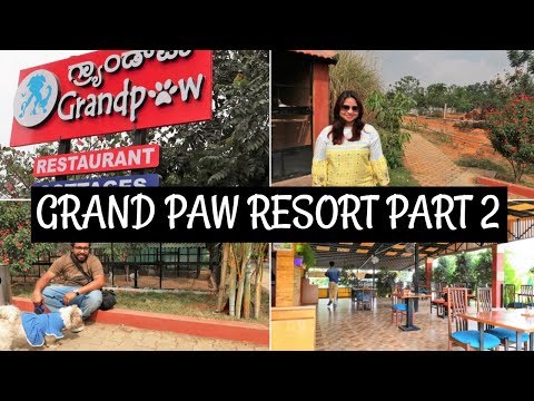 Pet Resort Tour In India | Trip To A Pet Resort Episode II | The Grand Paw Resort Video