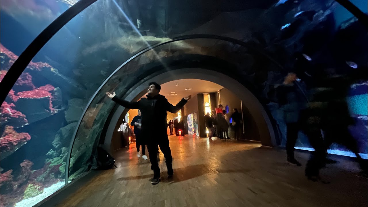 Embark on a virtual tour of the Acquario Civico di Milano with this captivating video.