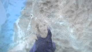 Our NORTH (Alessandra Celletti/ Hans Joachim Roedelius)