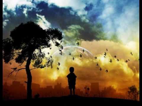 Ricardo Montaner La Pequeña Venecia (VENEZUELA)