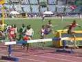 Steeplechase Collision In Osaka