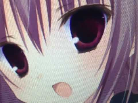 Danboorr