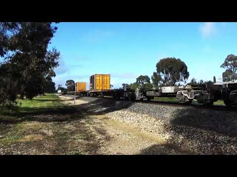 Fruit Flyer to Mildura North-West Victoria
