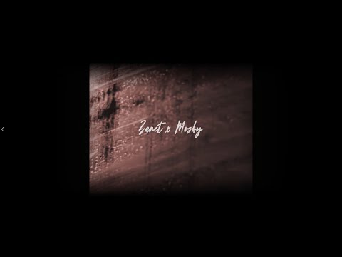 Ž̷A̷N̷E̷T̷ ft. Mosby - Víš toho až moc