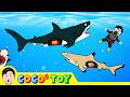 60minㅣCoCosToy S Well Made Stories Best Collection 2ㅣwhales Sharks For KidsㅣCoCosToy