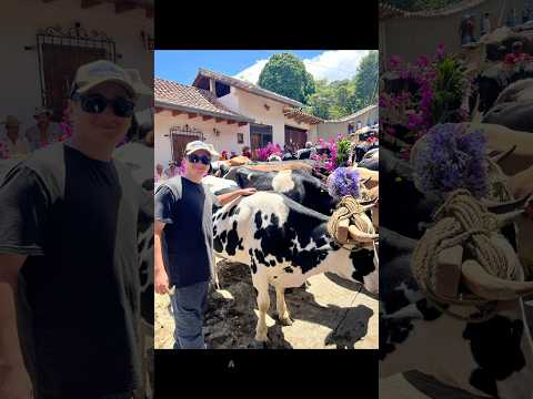 Una de las tradiciones más antiguas de los Andes: San Isidro en Boconó 🇻🇪