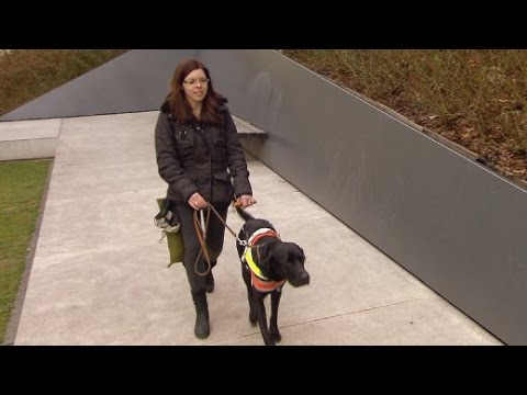 Blind in Marburg: Wie Mara und ihr Freund an der Uni studieren und ihr Leben meistern | SPIEGEL TV