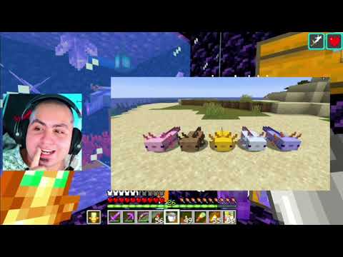 LYON FINDS THE RAREST AXOLOTL EVER!!!!