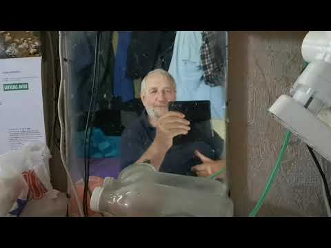 VIDEO   ES EJU YAVU SIRDI ZAGT     DZIED DAINIS PORGANTS EVID 20190714 171417