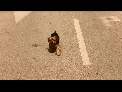 The Geissens: Maddox has to decide - RTL2