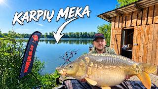 Didžiųjų Karpių Žvejyba. 20 KIBIMŲ?!