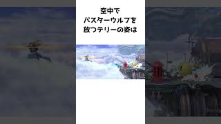 天翔けちゃう照兄貴に関するスマちしき #スマブラsp #テリー#FORESTちゃんねる