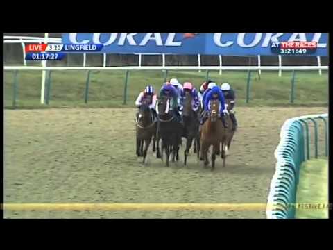 Grendisar- Coral Winter Derby Stakes- 2016