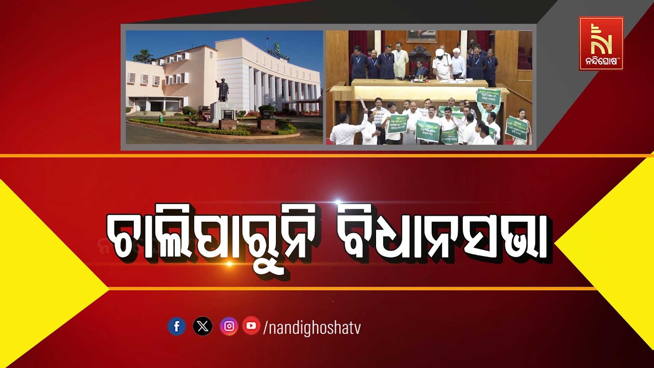 🔴Live | ଚାଲିପାରୁନି ବିଧାନସଭା