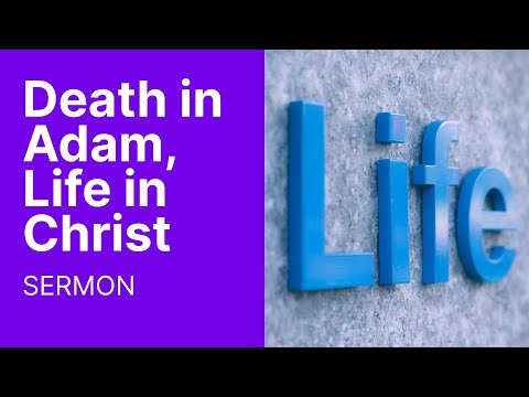 How Much More - Death in Adam, Life in Christ // Sermon
