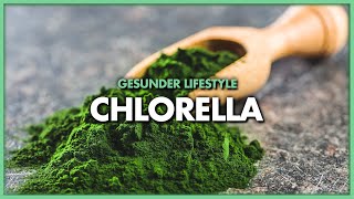 Chlorella, die unscheinbare Mini-Wunder-Alge aus der Urzeit der Erde