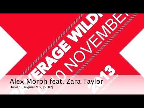 Raverage Wildfire Top 10 November 2013 by Symeon Ravera