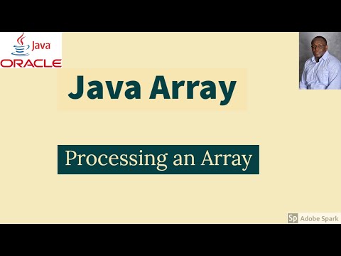 Java Array Processing Array Examples