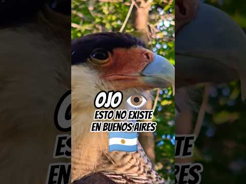 Esto No Existe en Buenos Aires Argentina - Naturaleza de Córdoba