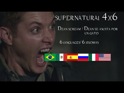 SUPERNATURAL 4X6 | Dean screams at cat / Dean se asusta con un gato | 6 Languages / 6 Idiomas
